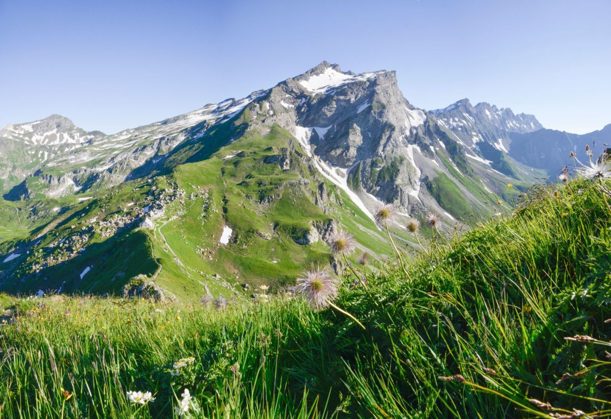 Hailing Liechtenstein’s opening throne to women, Hindus push global monarchies to follow